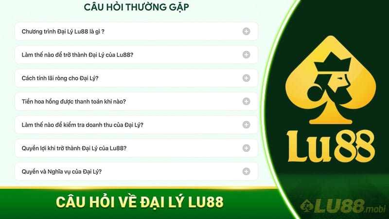 Câu Hỏi Về Đại Lý Lu88